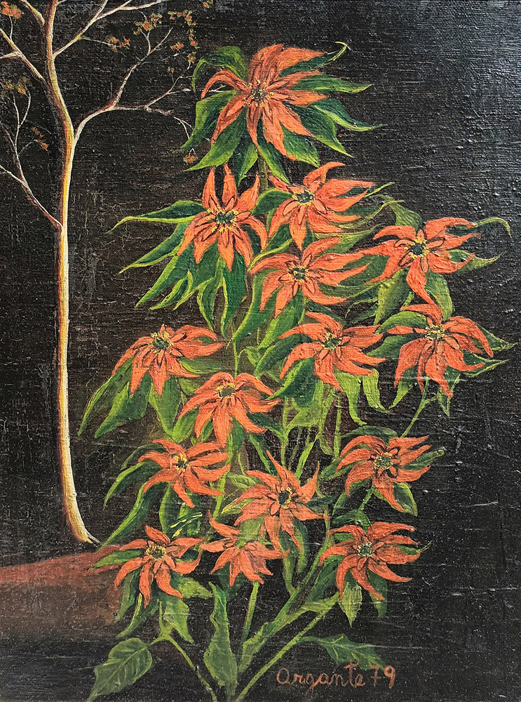 Stelle di Natale - 1978 - 40 x 50 - coll. privata